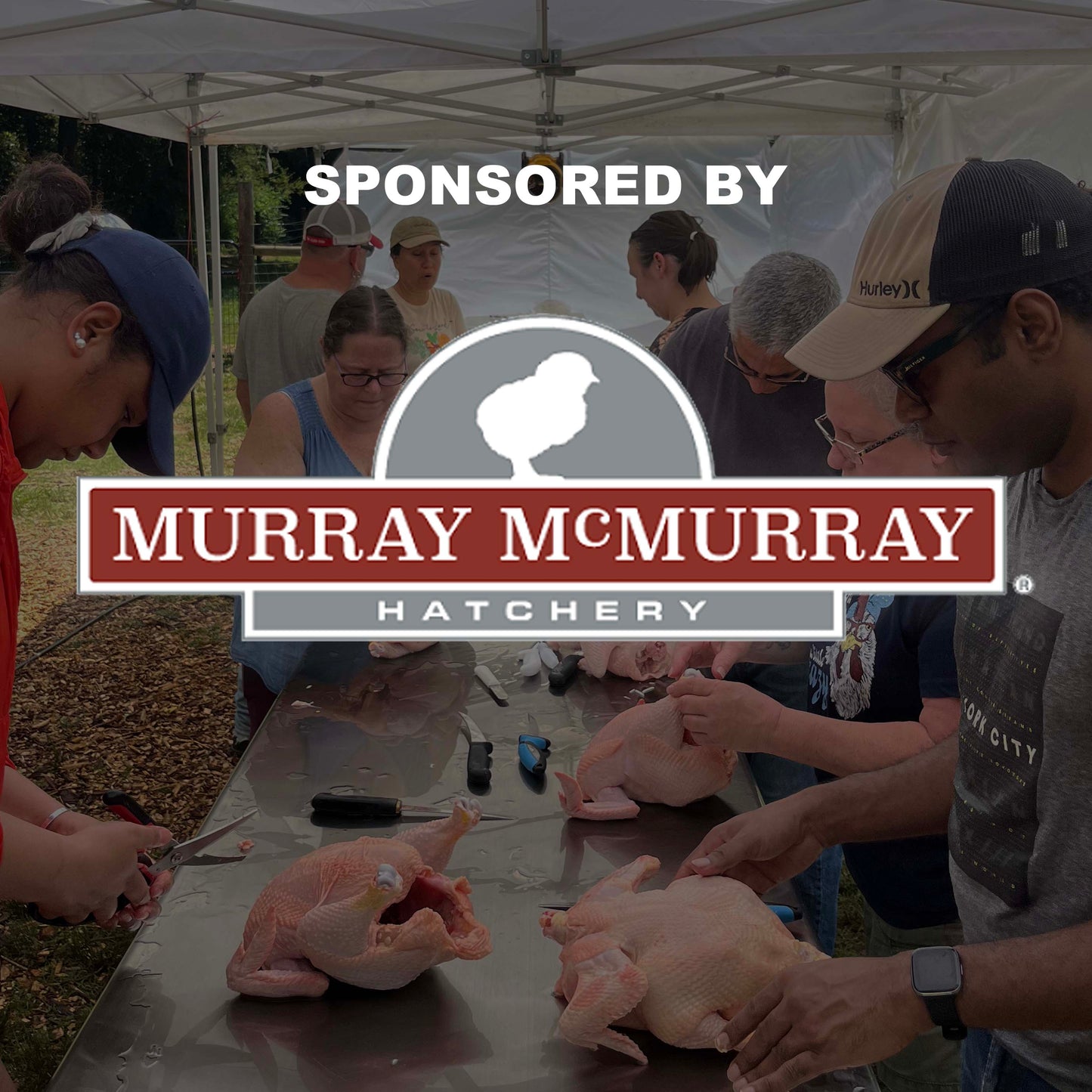 Chicken Processing Workshop (June 13)
