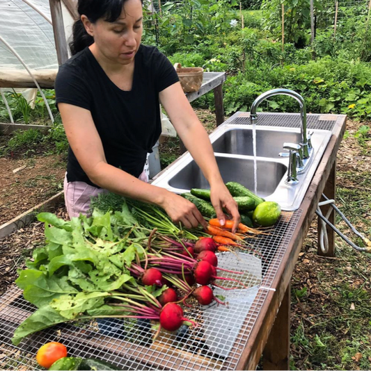 Veggie Washing Station with Sink Plans