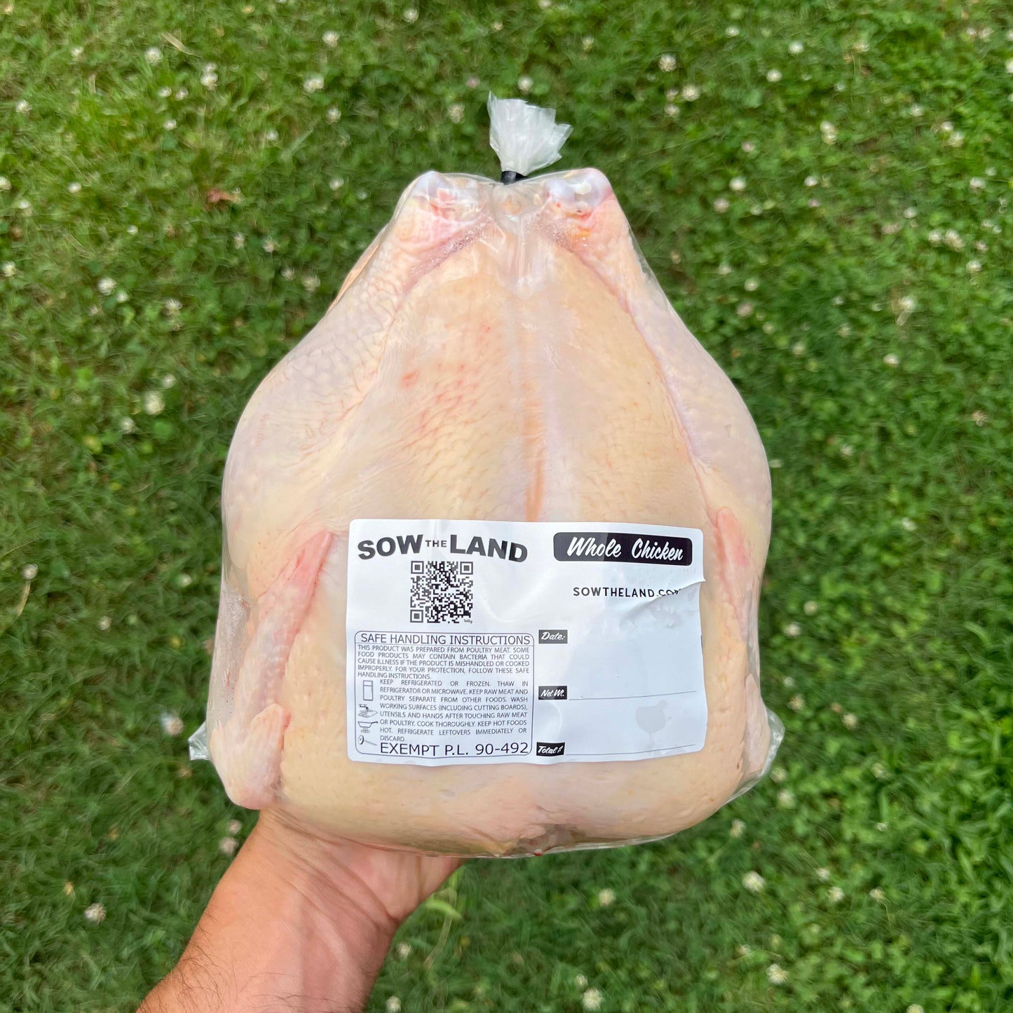 For Moayad - Pasture Raised Whole Chicken