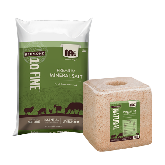 10 Fine - Premium Mineral Salt