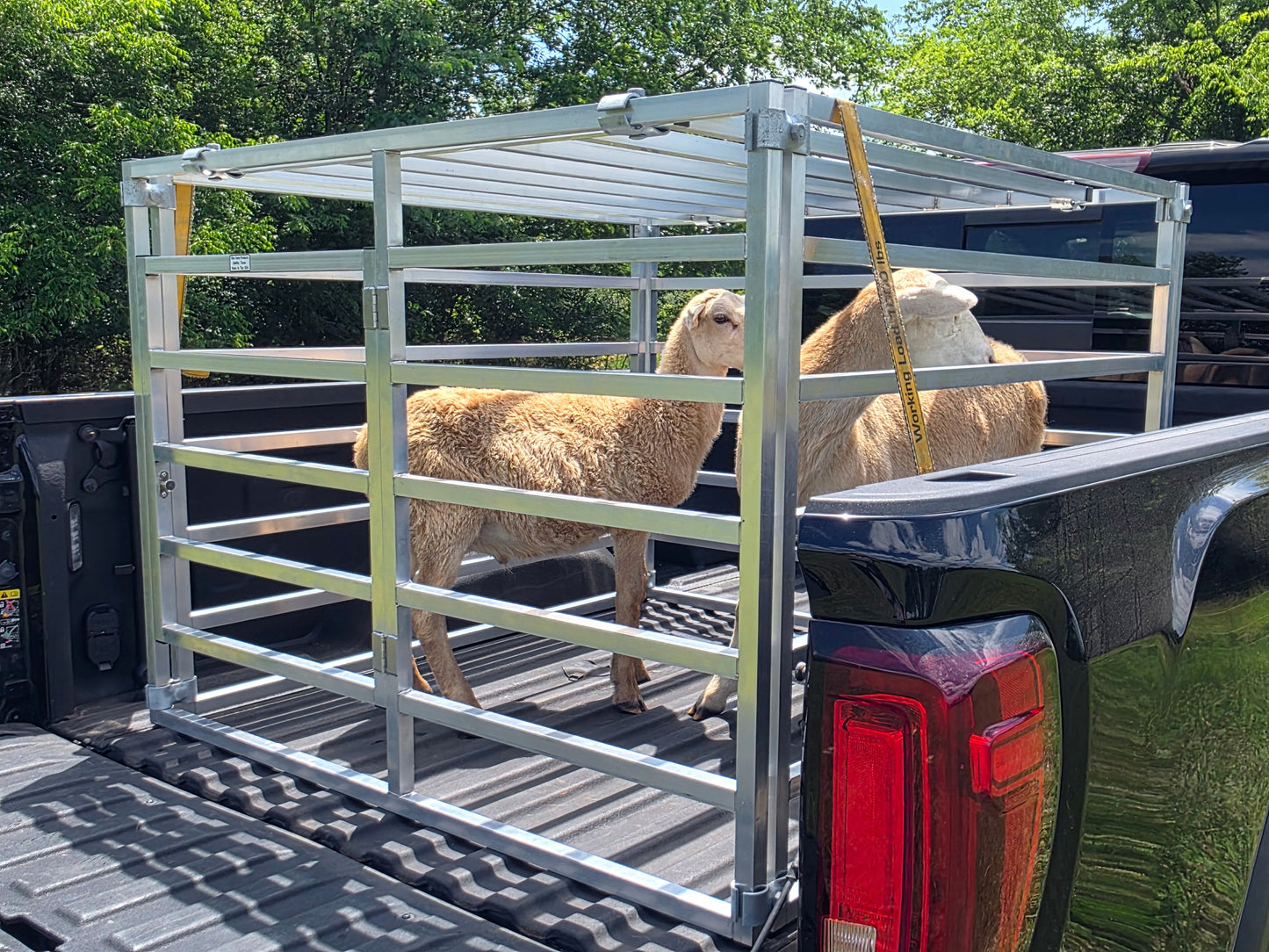 Aluminum Transport Cage for Sheep, Goat, Pig, Dog, Small Livestock Truck Crate Animal Transporter