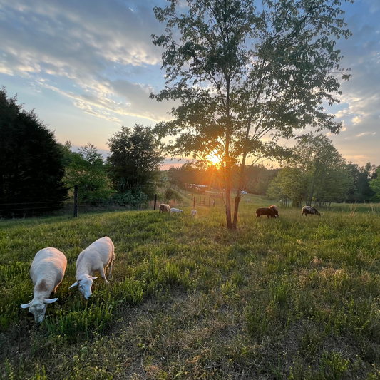 Farm Tour with Jason