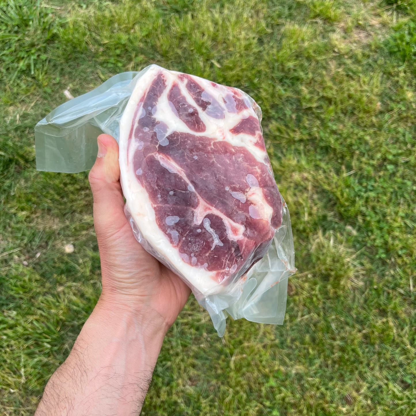 Pork Boston Butt