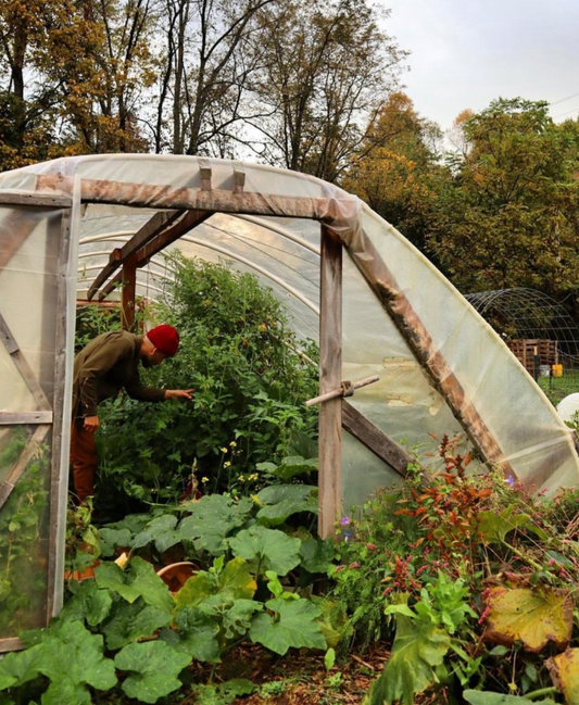 Greenhouse/ High Tunnel Plans