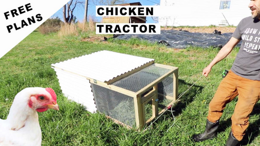Small Chicken Tractor (Free Plans)