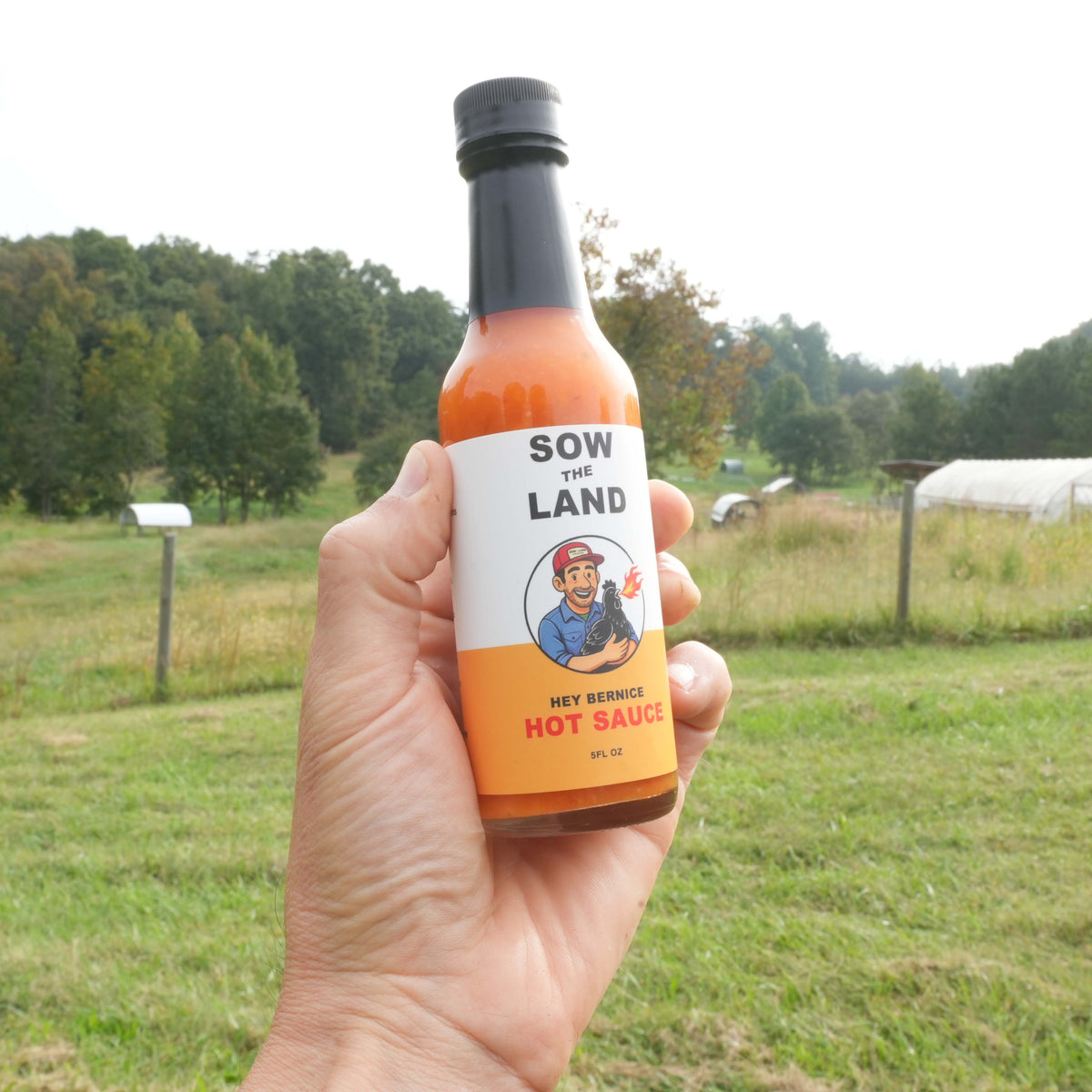 Hey Bernice Hot Sauce - Preorder