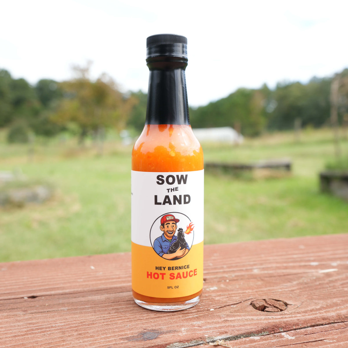Hey Bernice Hot Sauce - Preorder