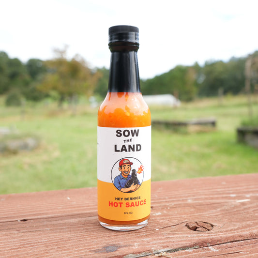 Hey Bernice Hot Sauce - Preorder