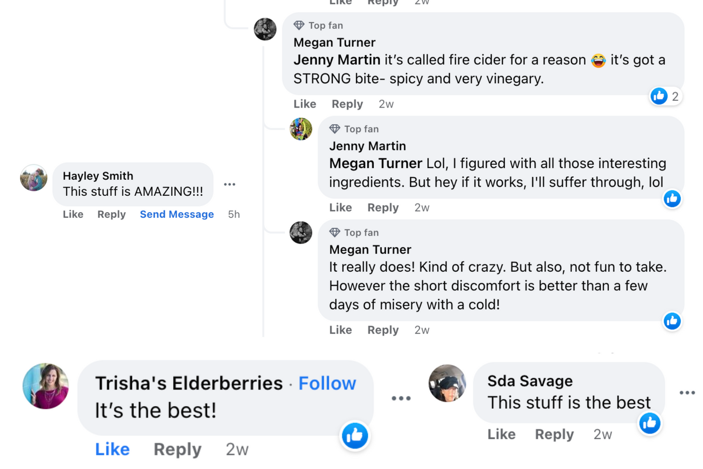 Black Garlic and Turmeric Fire Cider