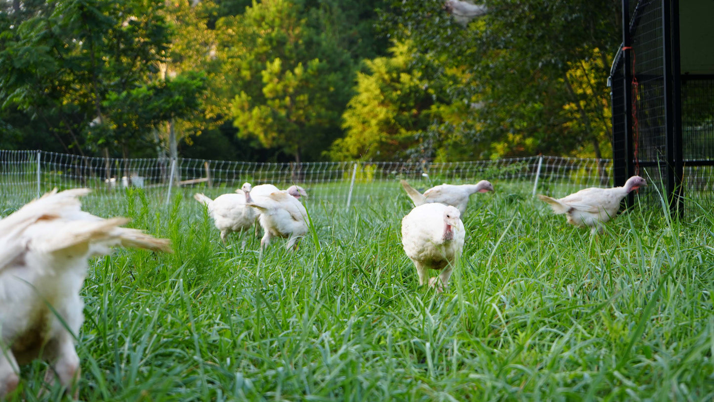 Deposit - Organic Holiday Turkey 2026